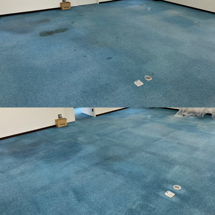 カーペットクリーニング作業