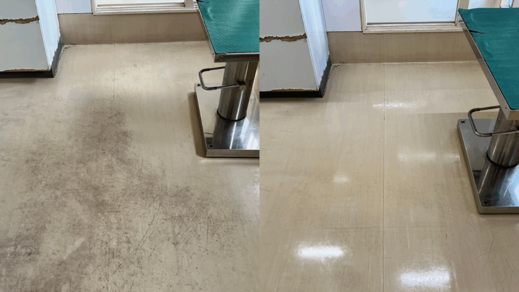 動物病院の床洗浄
